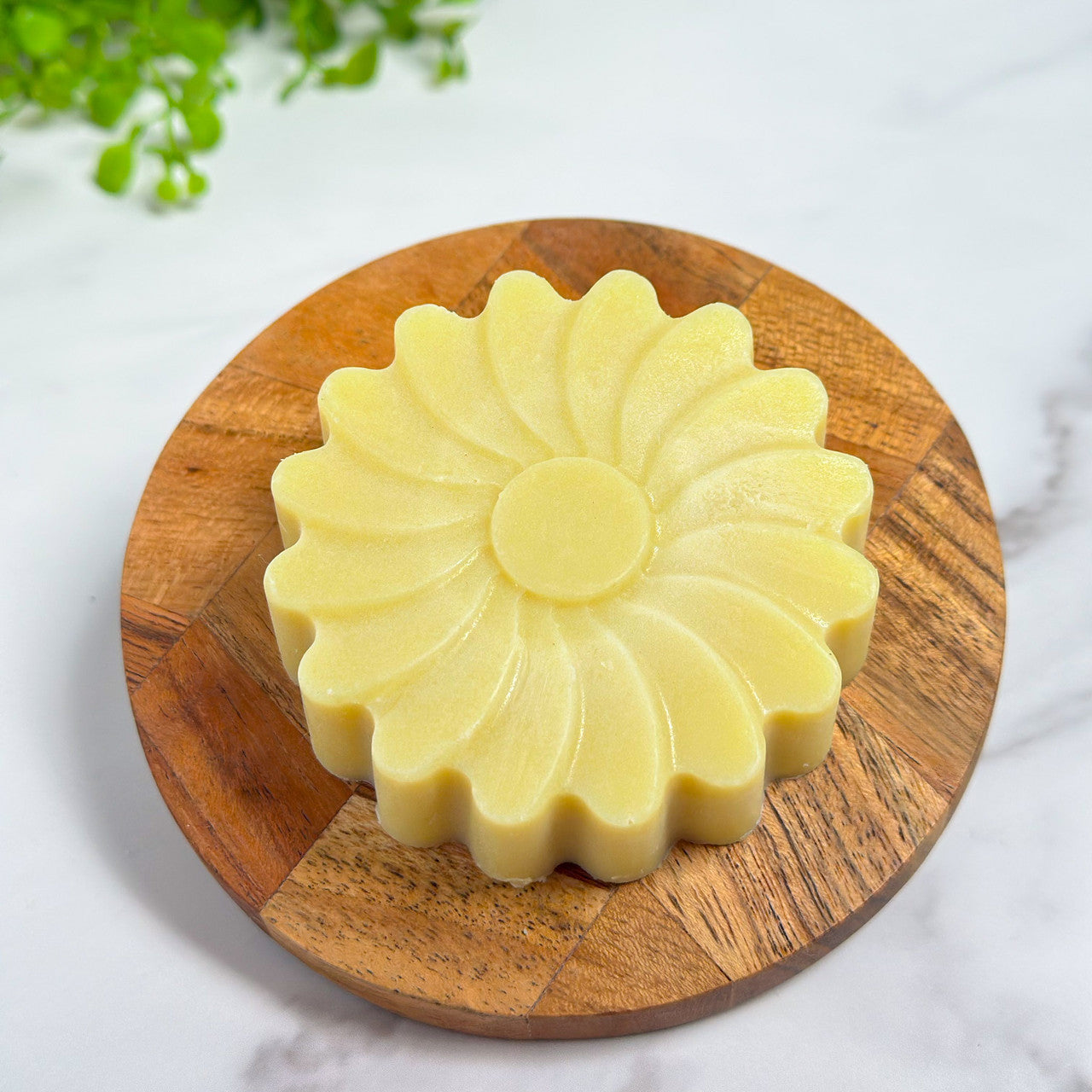 Cocoa Shea Lotion Bar